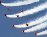 red arrows