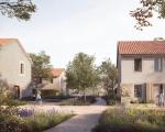 houses with trees and plants along paths