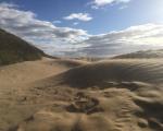 A photo of the beach and sand dunes that run between Royal Sands and Uphill in Weston-super-Mare