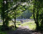 A photo of two people walking in Weston Woods at the Worlebury Camp Hillfort.