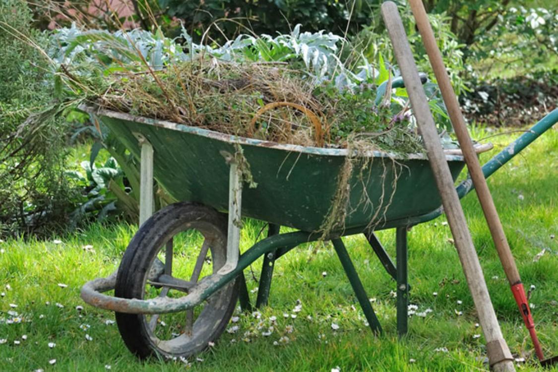 wheelbarrow with garden waste