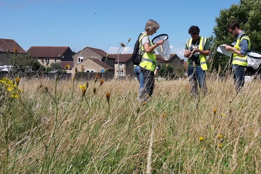 A rewilding champions survey session - summer 2021