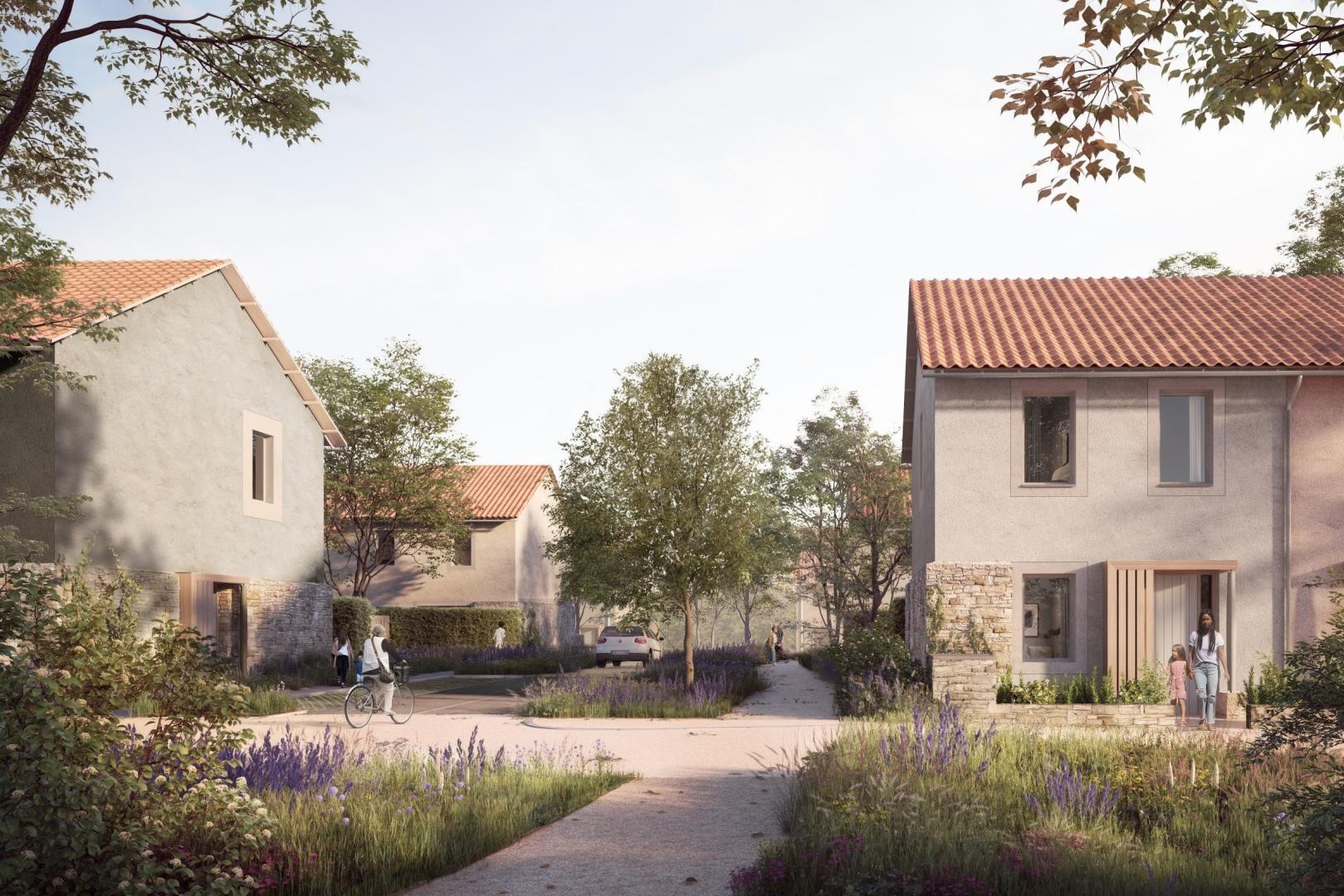 houses with trees and plants along paths