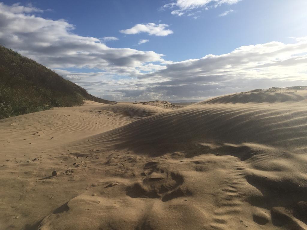 A photo of the beach and sand dunes that run between Royal Sands and Uphill in Weston-super-Mare