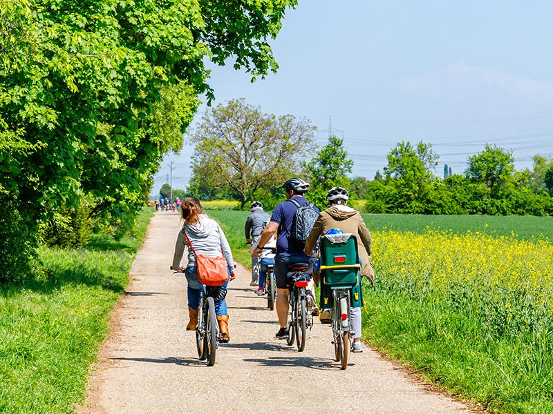 Family cycling in countryside