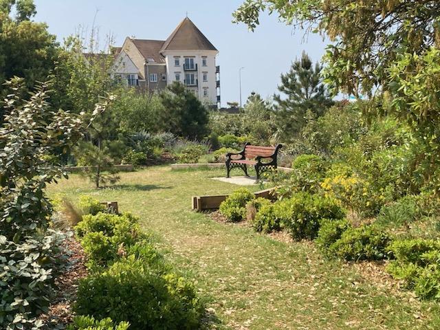 A wooden park bench surrounded by trees and bushes.