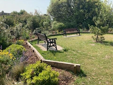 Two wooden park benches sat in a grass clearing surrounded by trees and bushes.