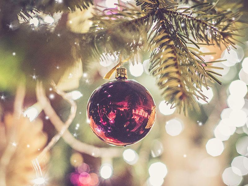 Christmas decoration hanging on a tree