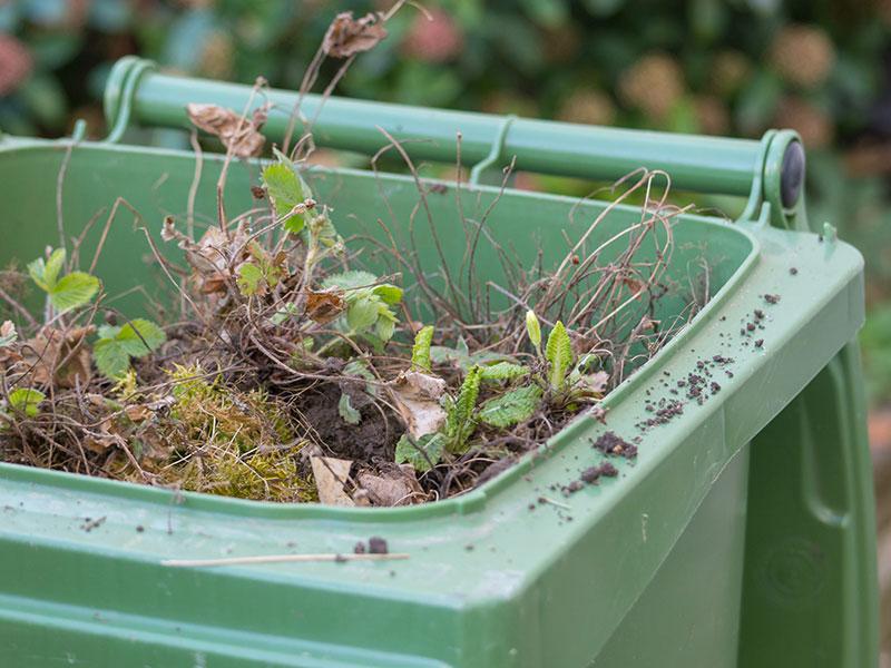 full garden waste bin