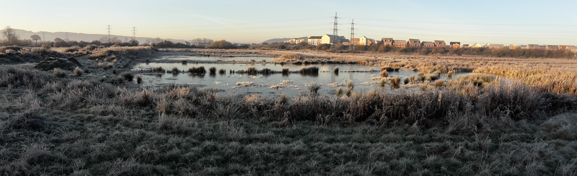 A frozen oval-shaped pool in the centre of a grass section of the nature reserve.