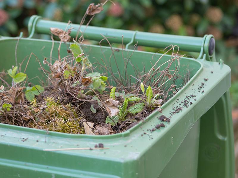 A green garden waste bin