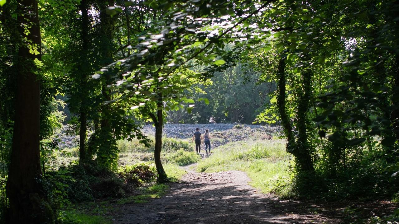 A photo of two people walking in Weston Woods at the Worlebury Camp Hillfort.